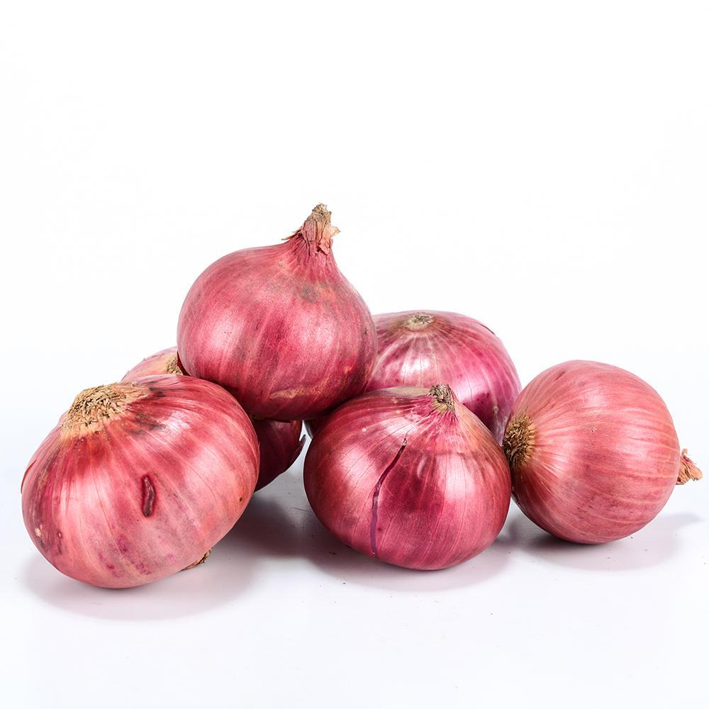 Big Onion