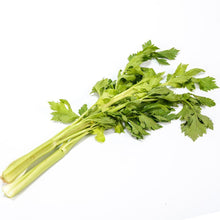 Celery