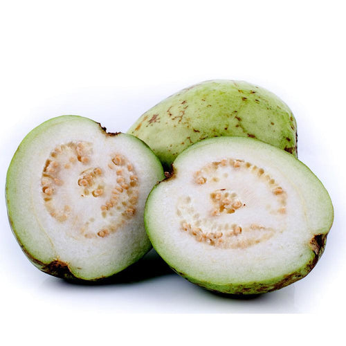 Guava