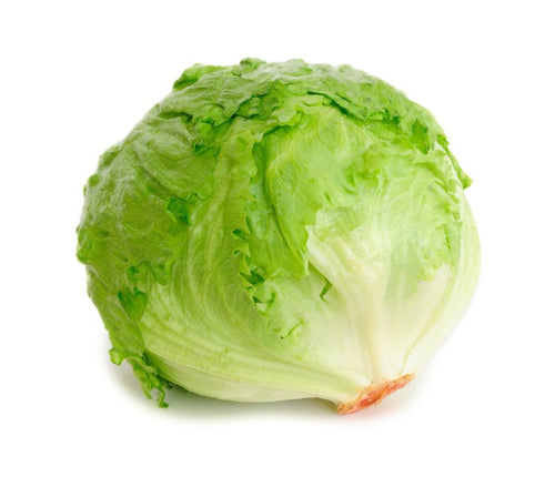 Lettuce (Iceberg)