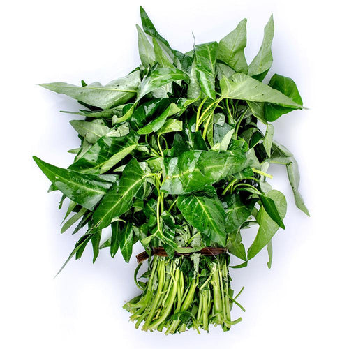 Kangkung (Aquatic Morning Glory)