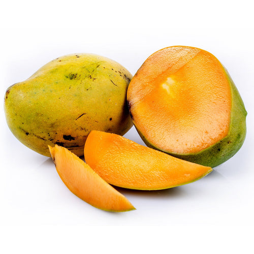 Mango - TJC