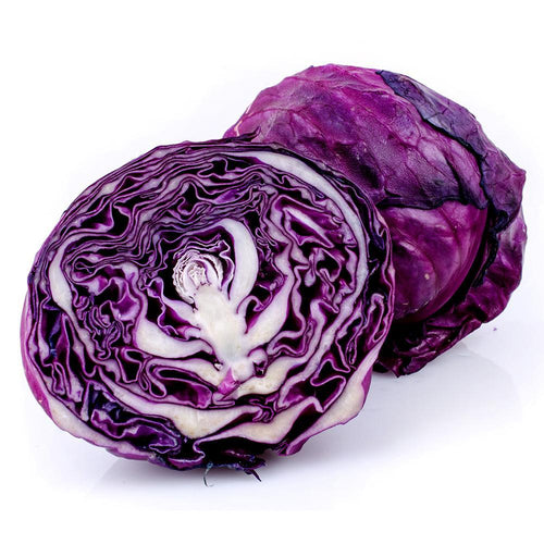 Cabbage (Red)