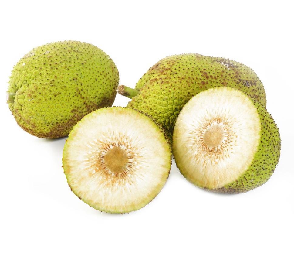 Breadfruit