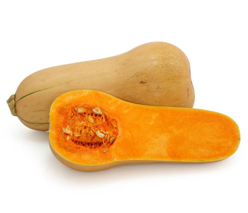 Butternut