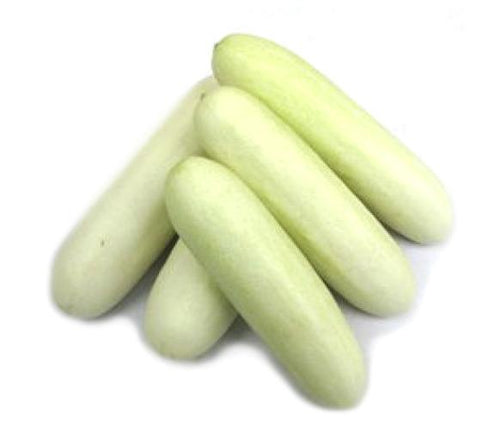 Cucumber