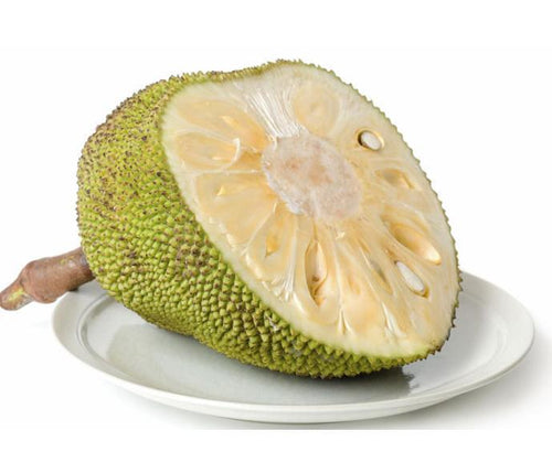 Jackfruit