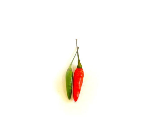 Kochchi (Demon Chilli)