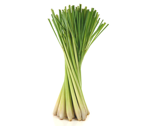 Lemongrass