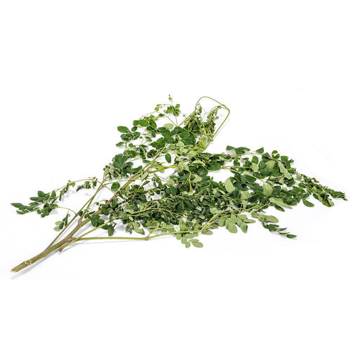 Moringa Leaves (Drumstick)