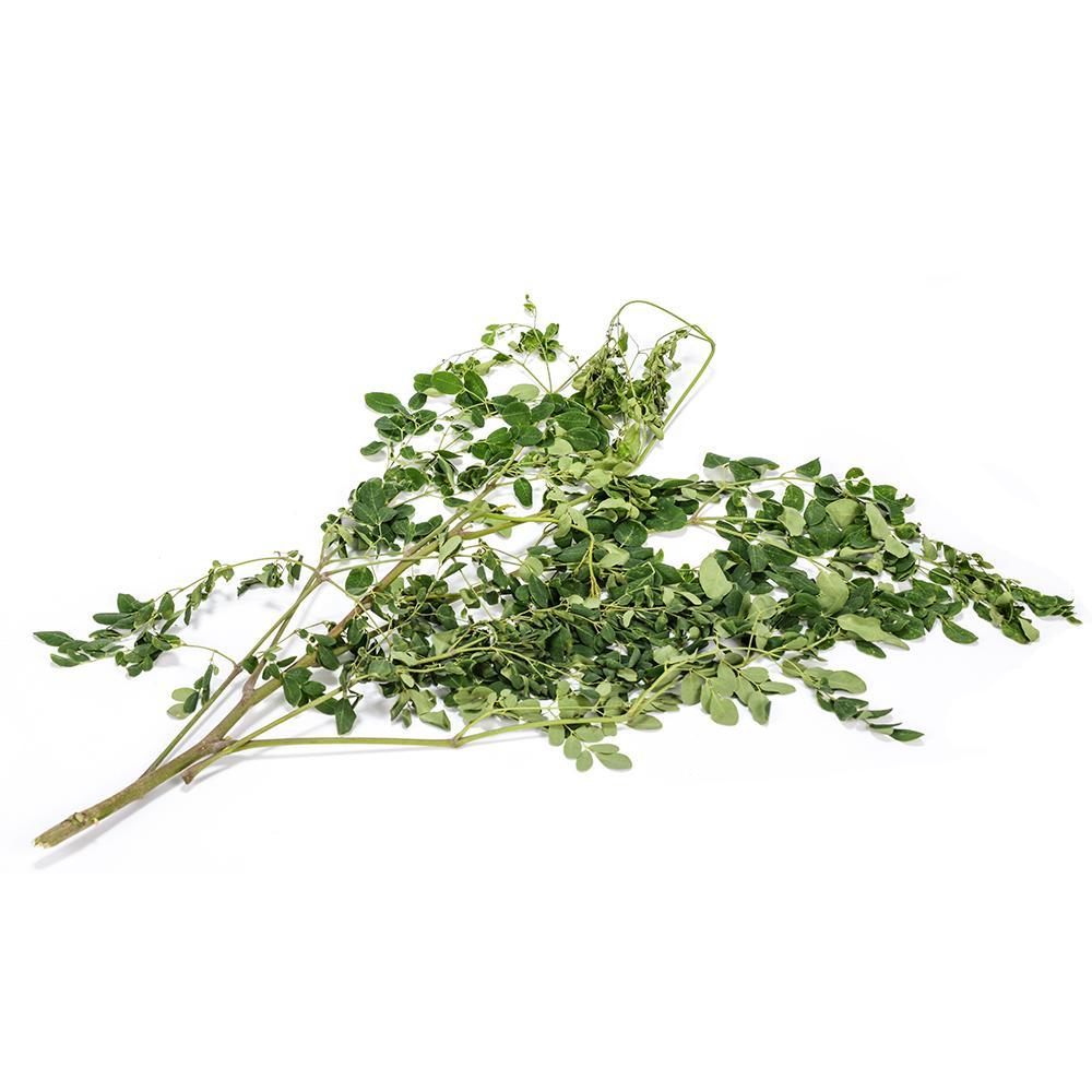 Moringa Leaves (Drumstick)