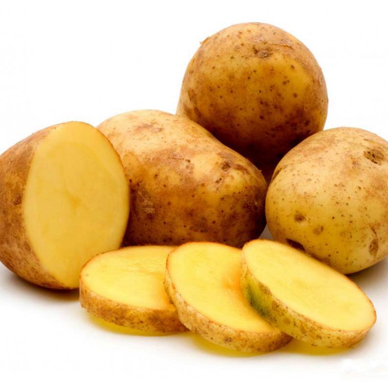 Potato